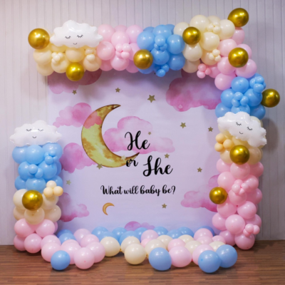 "He or She? What Will Baby Be?"  Baby Shower Decoration in Bangalore